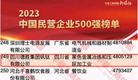 yd2333云顶电子游戏连续14年上榜中国民营企业500强
